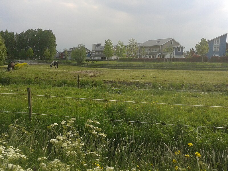 File:Schiedam - 2013 - panoramio (1).jpg