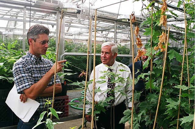 Senator Lugar tours an agricultural research facility.