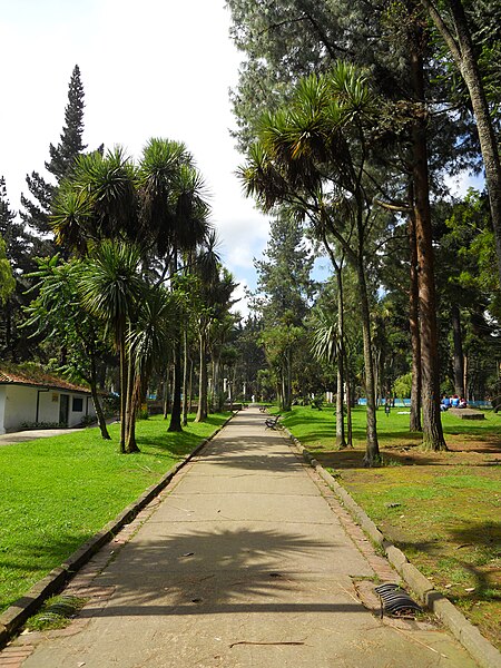 File:Sendero en el Parque Nacional de Bogotá.JPG