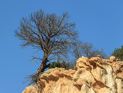 Site des Orgues d’Ille sur Têt