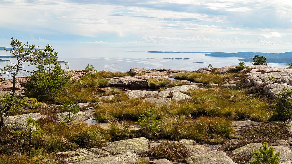 Skuleskogen National Park, view of the ocean