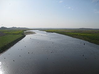 <span class="mw-page-title-main">Soan River</span> River in the [[Pothohar]] region of [[Pakistan]]