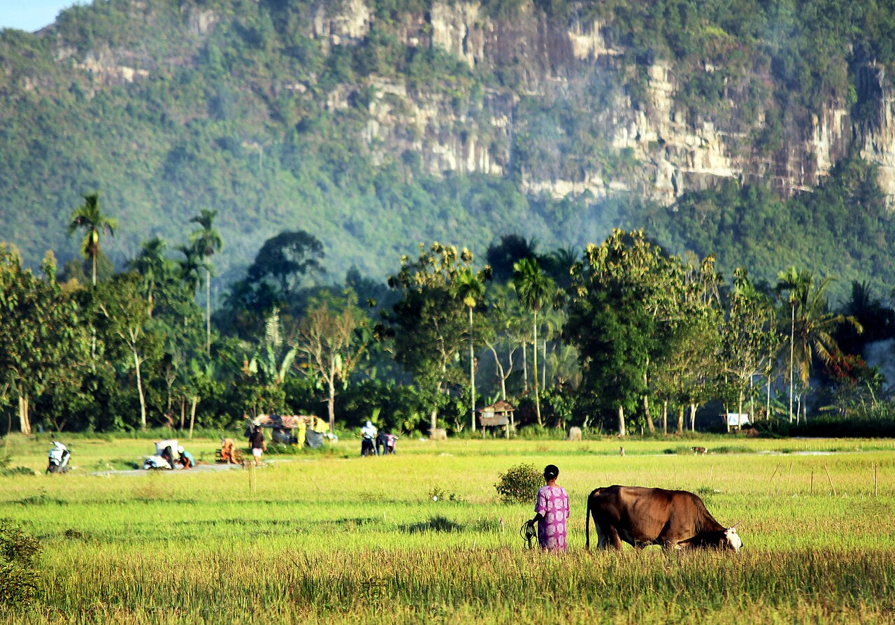 Somewhere_Sumatra