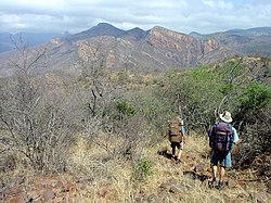 Hikers in the central Soutpansberg