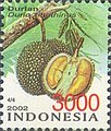 Durian - Durio zibethinus