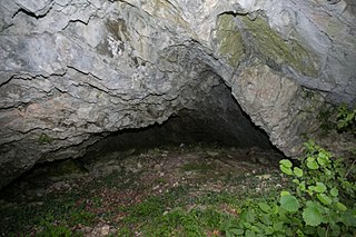 Steinplattenhöhle 2784 13 005.jpg