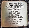 Stolperstein für Alice Herzer (Potsdam).jpg