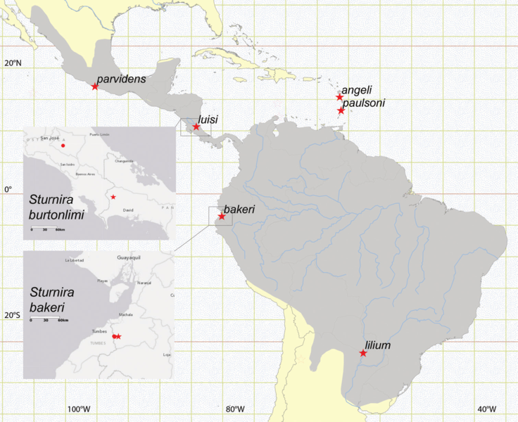 File:Sturnira distribution Map.png