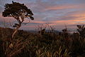 Mount Leuser sunrise