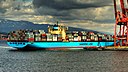Susan Maersk 2008 (cropped).jpg