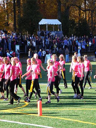 <span class="mw-page-title-main">Blondes vs. Brunettes (charity event)</span>