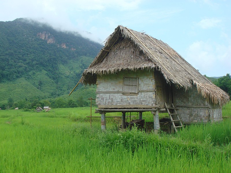 File:Thatched roof in rice fields.jpg