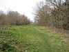 Chemin de The Mill Field, Mill Hill