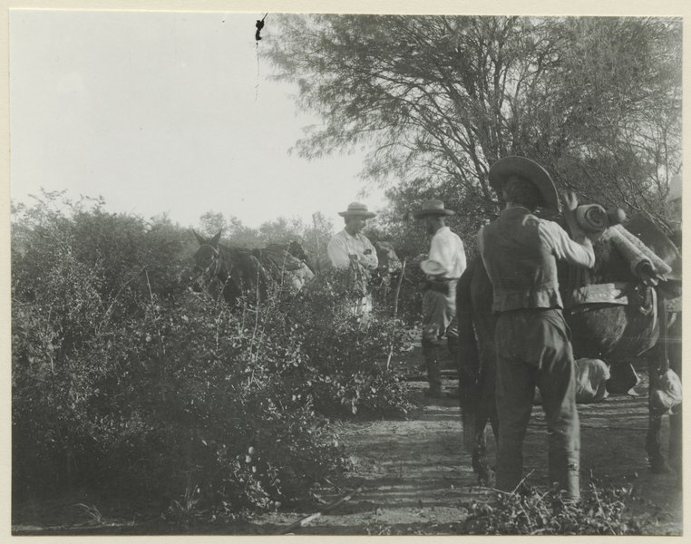 File:Till vänster Hofsten, sedan Fries. Sydamerika. Bolivia - SMVK - 0702.0058.tif