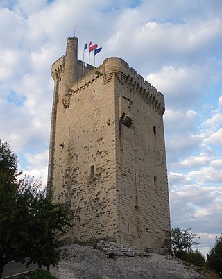 <span class="mw-page-title-main">Tour Philippe-le-Bel</span> French fortress castle