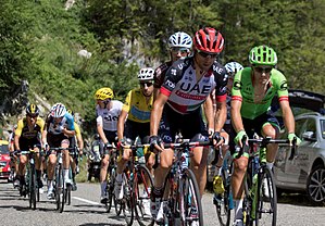 Tour de France 2017, groep gele trui (36124024416) .jpg