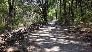 <span class="mw-page-title-main">Walnut Creek Metropolitan Park</span> Public park in Austin, Texas, USA