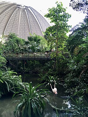 Bridge and flamingos at Tropical Islands Resort, Germany