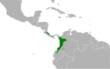 Turdus obsoletus map.svg