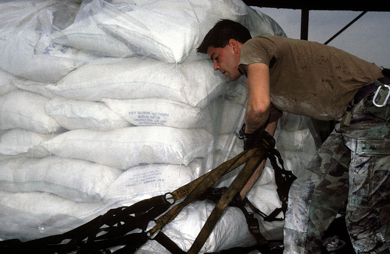 File:U.S. Air Force personnel with the 37th Airlift Squadron, Ramstein Air Base, Germany, prepare pallets of sacks of wheat flour in preparation for loading onto a U.S. Air Force C-130 Hercules aircraft which will DF-ST-96-00244.jpg