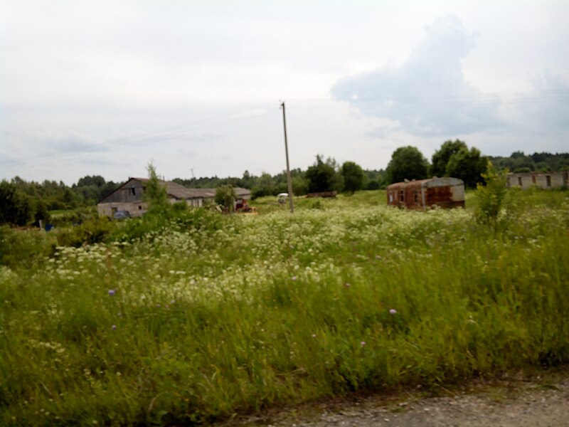 File:Valdaysky District, Novgorod Oblast, Russia - panoramio (502).jpg