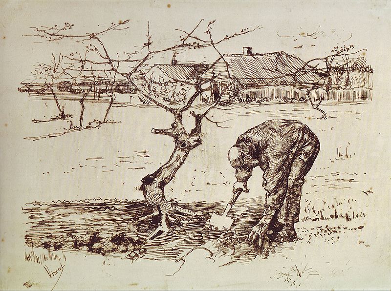 File:Van Gogh - In the Orchard - 1883.jpg