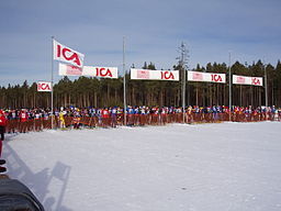 Kortvasan vid Oxberg i februari 2006