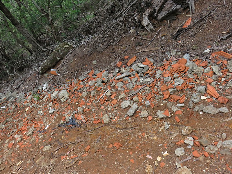 File:Vereda Caniçal-Boca do Risco, Parque Natural da Madeira - 2018-04-08 - IMG 3597.jpg