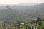 Miniatura per Mosaico di foresta e savana del Congo meridionale