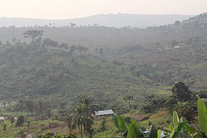 Вид из сельского городка Маси-Манимба, Демократическая Республика Конго (7609936324) .jpg