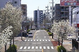 向が丘交差点 （2021年（令和3年）3月）