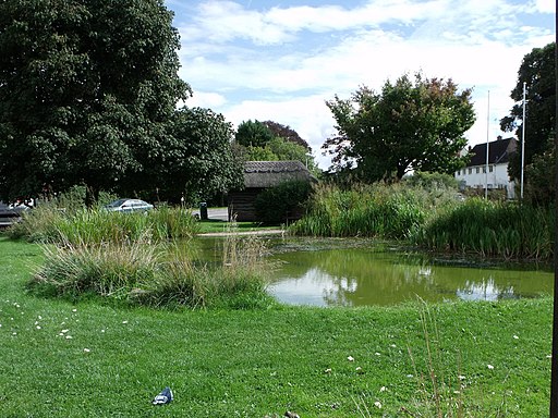 Village pond at Aldbourne, Wilts. - geograph.org.uk - 2095677