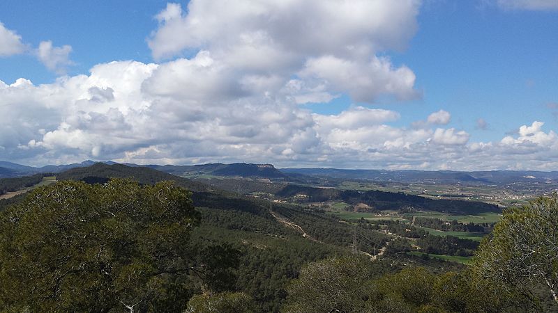 File:Vistes des del Pujol de la Guàrdia..jpg