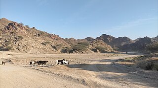 <span class="mw-page-title-main">Wadi Kub</span> River in Ras Al Khaimah, United Arab Emirates
