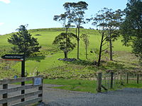 Waitawa Regional Park, New Zealand (1).JPG