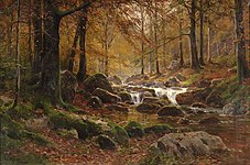 Forest Stream in Autumn