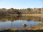 Wellfleet Bay Wildlife Sanctuary