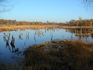 Norderstedt: Urbo en Germanio