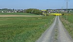 Lützelsoon-Radweg