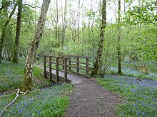 Worth Forest (4) .jpg