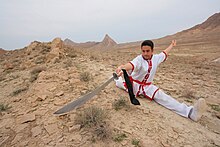 Wushu (sport).jpg