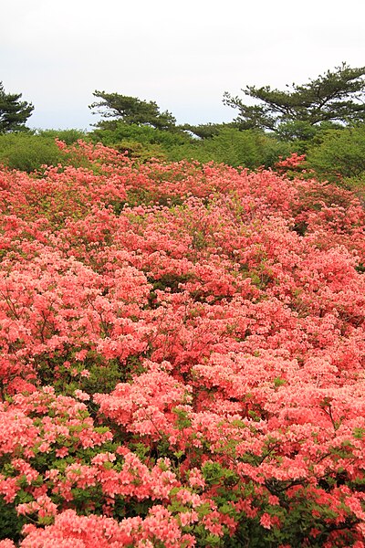 File:Yumoto, Nasu, Nasu District, Tochigi Prefecture 325-0301, Japan - panoramio (8).jpg