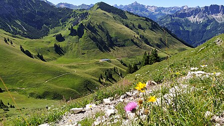 Zipfelsalpe, Allgäuer Alpen (2022 07 13), by Klugschnacker in Wikipedia, 02