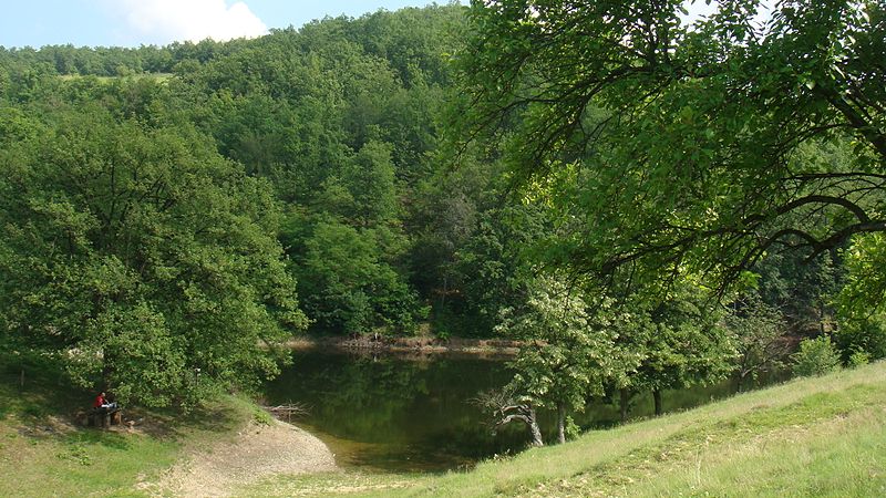 File:Zlatno Jezero,Donji Milanovac,^Serbia - panoramio (1).jpg