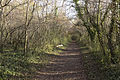 Passage boisé sur l'île de la Table-Ronde.}}