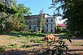 English: Horse farm and former mill Šargoun. Čeština: Bývalý Šargounský mlýn, místo chovu koní.