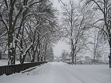 Зима Савинац 1.jpg