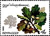 Neuvostoliiton postimerkki nro 5121. 1980. Suojeltu puu- ja pensaslaji.jpg