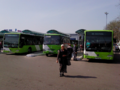 Миниатюра для Файл:Ташкентские автобусы.png