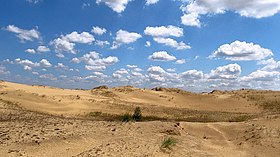 Chersonská oblast, národní přírodní park Oleshkivsky pisk.  Autor Gavrilyuk S. V. (2).JPG